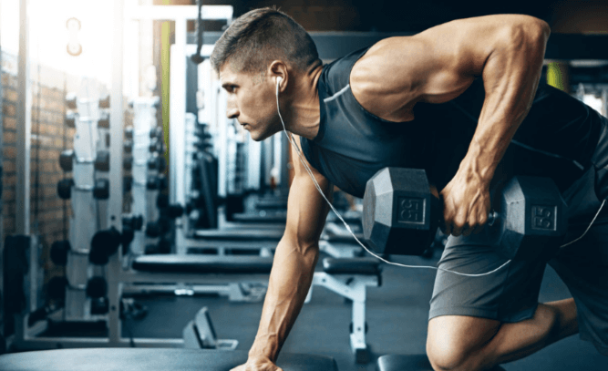 wellhealthorganic.com : how to gain muscle @ well health organic