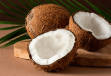 Clipart:-Vmmf3_I-Wy= Coconut