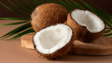 Clipart:-Vmmf3_I-Wy= Coconut