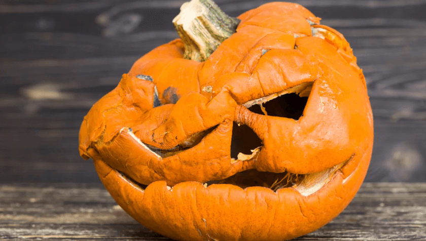 Transparent:0pegby--Yew= Pumpkin Gif