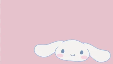 Aesthetic:98ztuxb2i2w= Cinnamoroll