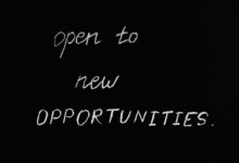 exploring innovative opportunities online