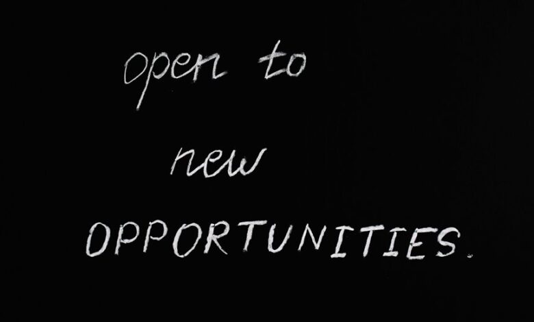 exploring innovative opportunities online