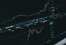 market performance insights revealed