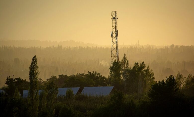 competitive growth signal summary