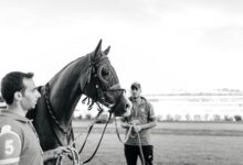 competitive signal evaluation report