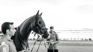 competitive signal evaluation report