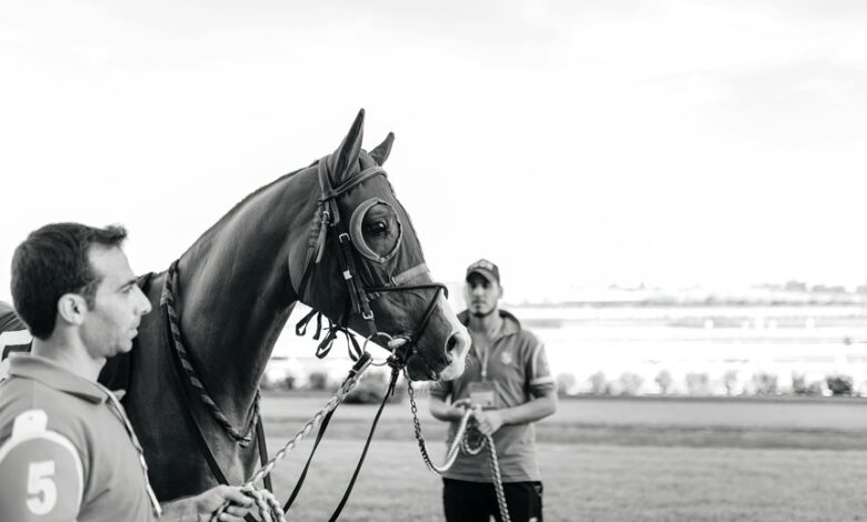 competitive signal evaluation summary