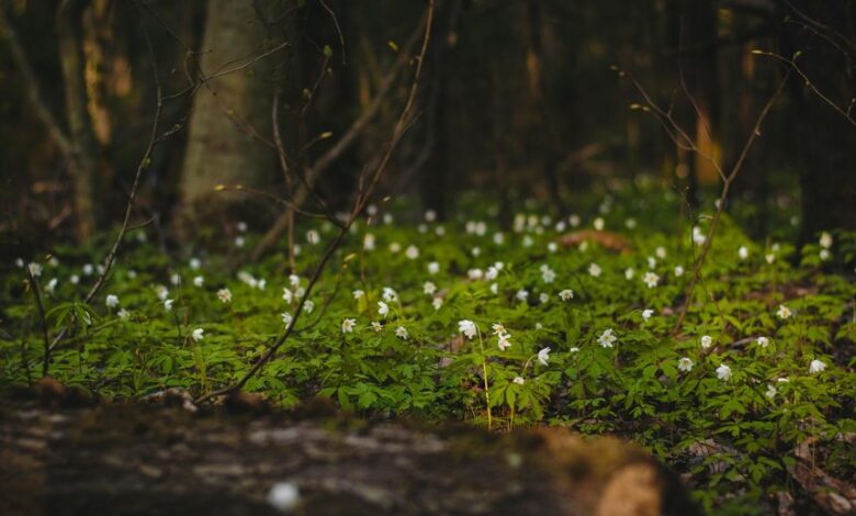 growth dynamics data log