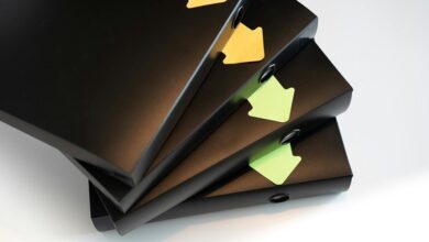 numerical data analysis report